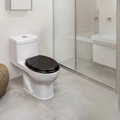 Abattant WC avec frein de chute silencieux