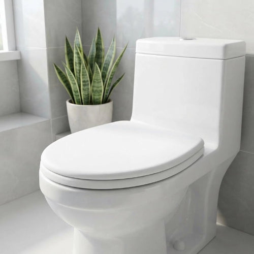 Abattant WC blanc à surface lisse et hygiénique