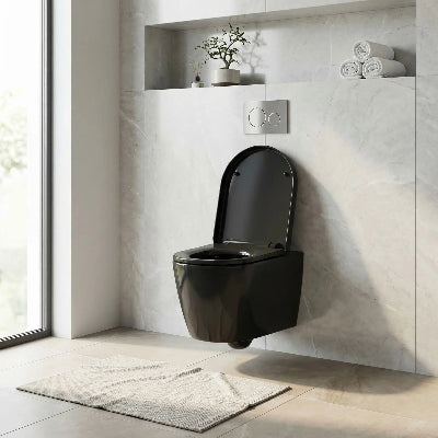 abattant wc frein de chute noir