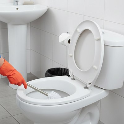 Brosse wc design résistants à l'humidité pour une hygiène durable