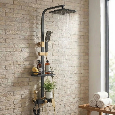 mitigeur douche noir et doré