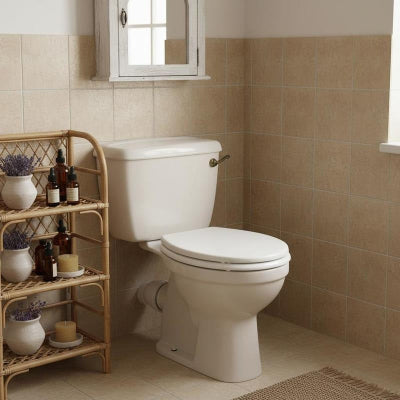 siège de toilette facile d'entretien